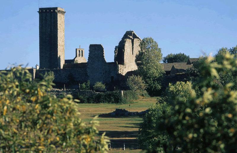 Gites En Cevennes "Chez Steloune" Genolhac Exterior photo